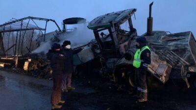 Два грузовика загорелись после столкновения на трассе в Самарской области, оба водителя погибли - usedcars.ru - Оренбург - Самарская обл.