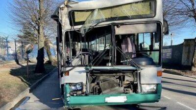 В Калининграде автобус врезался в дерево, пострадала кондуктор - usedcars.ru - Калининград - Калининградская обл.