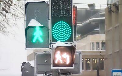1 марта появится новый сигнал светофора — «белый пешеход» - zr.ru - Россия