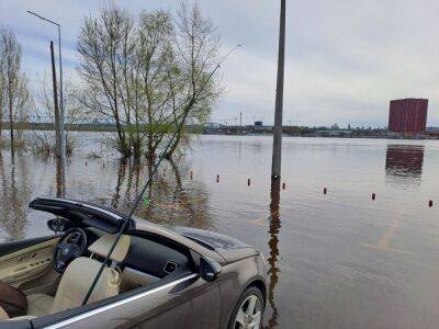 В Киеве владелец BMW ловил рыбу не выходя из автомобиля (фото) - autocentre.ua - Киев - район Киева