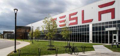 Tesla намерена построить еще один завод — на этот раз в Индии - autocentre.ua - Китай - Индия