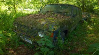 Посмотрите на 35-летний Range Rover, найденный посреди леса (видео) - autocentre.ua