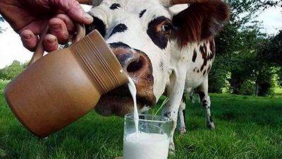 Биотопливо из молока: новая технология от изобретателей из США - auto.24tv.ua - Сша - штат Мичиган