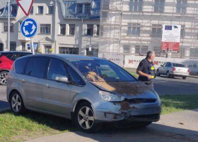 В Эстонии автомобиль въехал в изображающую Зеленского песчаную скульптуру латвийского автора - obzor.lt - Украина - Эстония - Латвия