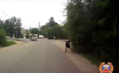 Видео падения пешехода из кустов под автобус в Твери опубликовали в сети - afanasy.biz - Тверь - Тверская обл.