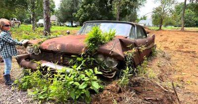 В поле нашли заброшенным редкий американский автомобиль: он 40 лет стоял на месте (видео) - focus.ua - Украина - Сша