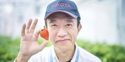 Экологический маневр. Toyota начала выращивать на своих заводах клубнику и помидоры - nv.ua - Украина