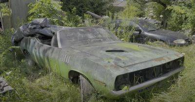 В старом сарае найден редкий раритетный Plymouth Barracuda (видео) - autocentre.ua - Сша - county Plymouth