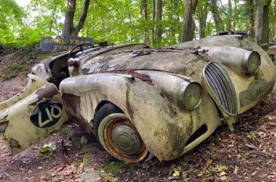 У лісі знайшли кладовище класичних автомобілів - news.infocar.ua - Mercedes-Benz