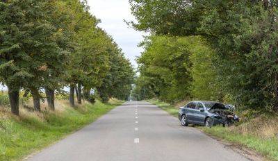 В Бауском крае водитель Opel врезался в дерево и погиб - rus.delfi.lv - Латвия