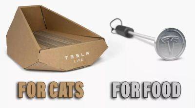 Tesla напоминила о долгожданном Cybertruck кошачьим лотком в форме пикапа - autocentre.ua - Китай