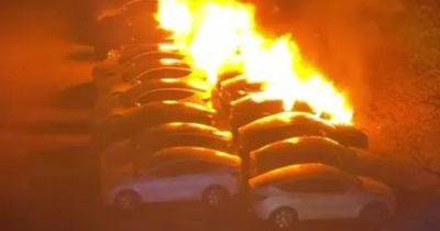 В Германии сгорели десятки электромобилей Tesla стоимостью более 500 тысяч евро (фото) - focus.ua - Украина - Китай - Германия