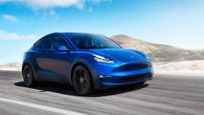 Треть владельцев Tesla Model Y пересаживаются на бензиновые кроссоверы - auto.24tv.ua