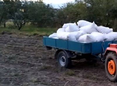 Сельский "Муравей": как выглядел редчайший ЗАЗ на трех колесах, сделанный для дачников и огородников - hyser.com.ua - Украина - Google