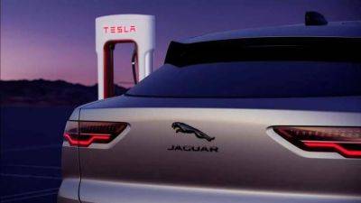 Jaguar переходит на стандарт зарядки Tesla - auto.24tv.ua - Канада - Сша - Мексика