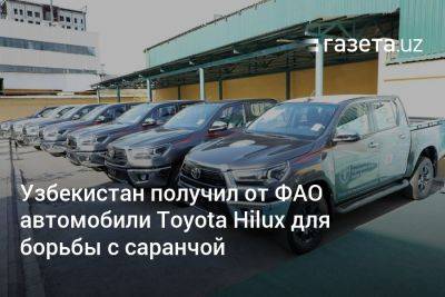 Узбекистан получил от ФАО автомобили Toyota Hilux для борьбы с саранчой - gazeta.uz - Узбекистан