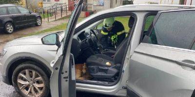 Испугалась грозы. На Волыни собака спряталась в чужом авто и не хотела выходить — спасатели помогли животному - nv.ua - Украина - Луцк
