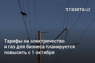 Тарифы на электричество и газ для бизнеса планируется повысить с 1 октября - gazeta.uz - Узбекистан