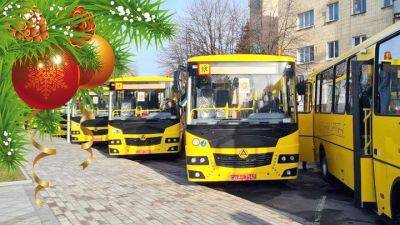 Школьный автобус "под елочку": сколько он стоил в последнюю неделю года - auto.24tv.ua - Житомир