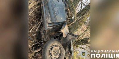 В Полтавской области легковое авто влетело в дерево, водитель и пассажир погибли на месте — полиция - nv.ua - Украина - Полтавская обл.