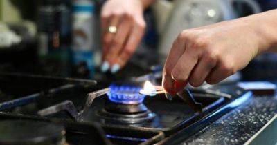 Газ для украинцев будет дешевле? Что с ценой топлива и его запасами в Украине - focus.ua - Украина - Китай - Сша - Индия