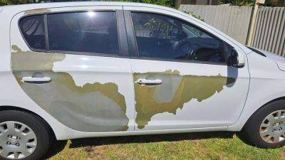 Владельцы Hyundai возмущены из-за проблемы отшелушивания краски - auto.24tv.ua - Канада - Сша - Австралия