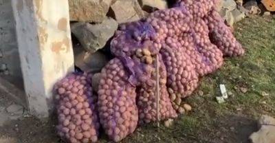 Идеально подходит для села и для перевозки картошки: как выглядит огородный пикап Honda на гусеницах - hyser.com.ua - Украина - Сша - Google