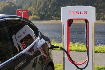 Илон Маск - Tesla планирует в середине 2025 года начать производить доступный электрокар — Reuters - minfin.com.ua - Украина - Сша