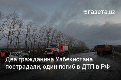 Два гражданина Узбекистана пострадали, один погиб в ДТП в Пензенской области России - gazeta.uz - Узбекистан - Россия - Казань - Пензенская обл.