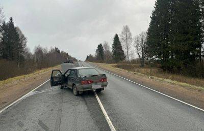 Под Ржевом во время ДТП с лосем пострадал 3-летний ребенок - afanasy.biz - Россия - Тверь - Тверская обл. - район Ржевский