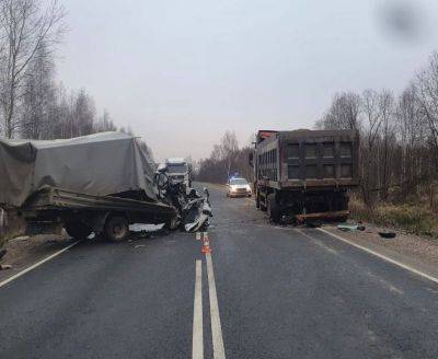 В Зубцовском районе погиб пассажир автомобиля «Газель», который врезался в стоящий грузовик - afanasy.biz - Тверская обл.