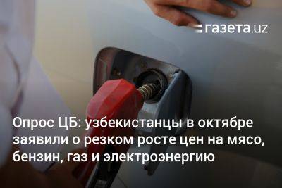 Опрос ЦБ: узбекистанцы в октябре заявили о резком росте цен на мясо, бензин, газ и электроэнергию - gazeta.uz - Узбекистан