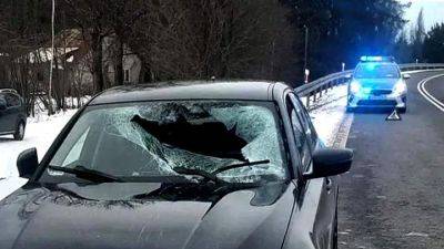 Глыба льда упала с фуры на BMW и ранила его владельца: что произошло с водителем грузовика - auto.24tv.ua - Польша - Варшава