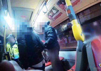 В Праге полицейские для поимки вандалов остановили автобус: видео - vinegret.cz - Чехия - Прага