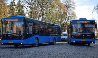 Рынок автобусов в Украине увеличился на четверть: какие марки в лидерах - autocentre.ua - Украина