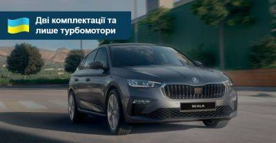 Оновлений Skoda Scala почнуть продавати в Україні. Яка ціна? - auto.ria.com - Украина