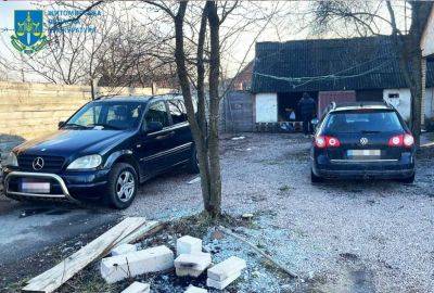 В Житомире разоблачили «бизнесвумен», которая перепродавала автомобили для ВСУ - autocentre.ua - Украина - Santa Fe - Житомир