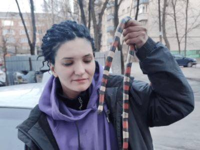 В Киеве женщина достала змею Кэмпбелла из авто – что о ней известно - apostrophe.ua - Киев - Украина - Сша
