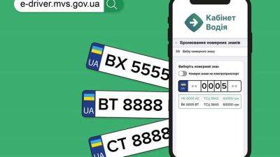Украинцы самостоятельно выбрали более 8 тысяч номерных знаков - auto.24tv.ua