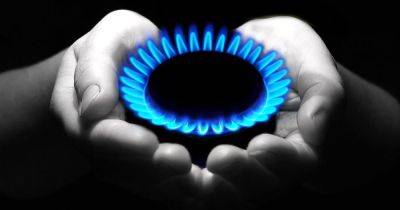 Газ в Украине подешевел в два раза: какие расценки на топливо - focus.ua - Украина - Китай - Сша - Индия