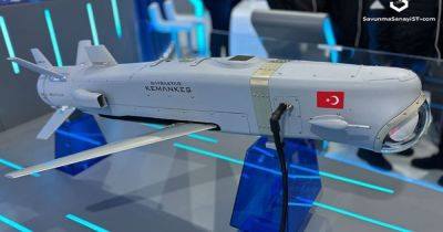 "Умное" оружие Анкары: в Турции испытали крылатую ракету Kemankes 2 Mini Smart (видео) - focus.ua - Украина - Турция - Анкара