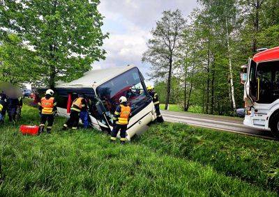 В Чехии разбился рейсовый автобус. Водитель была под наркотиками - vinegret.cz - Чехия