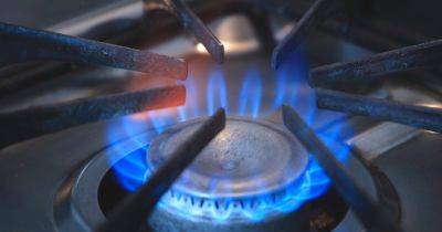 В Нафтогазе заявили, что цена на газ для потребителей будет оставаться неизменной по крайней мере еще один год - dsnews.ua - Украина