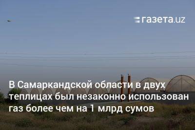 В Самаркандской области в двух теплицах был незаконно использован газ более чем на 1 млрд сумов - gazeta.uz - Узбекистан - Андижанская обл.