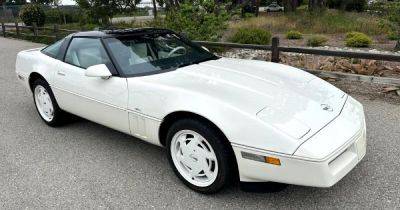 Chevrolet Corvette - Капсула времени из 80-х: обнаружен редкий 36-летний Chevrolet Corvette без пробега (фото) - focus.ua - Украина - Сша