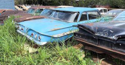 Ford Thunderbird - Раритеты на заднем дворе: в США обнаружили кладбище старинных авто (видео) - focus.ua - Украина - Сша