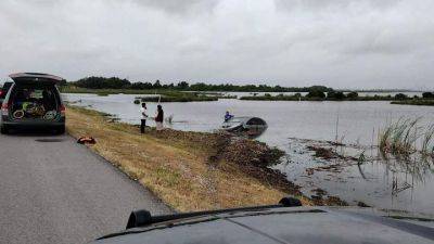 Мертвый аллигатор заставил водителя Honda отправить свое авто на дно реки - auto.24tv.ua - Германия - Амстердам - штат Луизиана