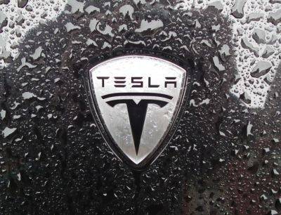 Илон Маск - Tesla готовит три новых электромобиля - autostat.ru