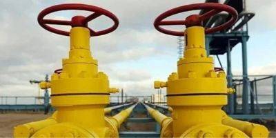 Больше чем до войны. Страна, которая собиралась разорвать контракт с Газпромом, покупает российский газ в рекордных объемах - biz.nv.ua - Украина - Германия - Россия - Австрия