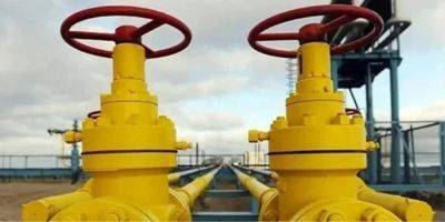 «Это было ошибкой». Страна, которая покупает газ у России в рекордных объемах, решила «изучить» контракт с Газпромом - biz.nv.ua - Украина - Россия - Евросоюз - Австрия